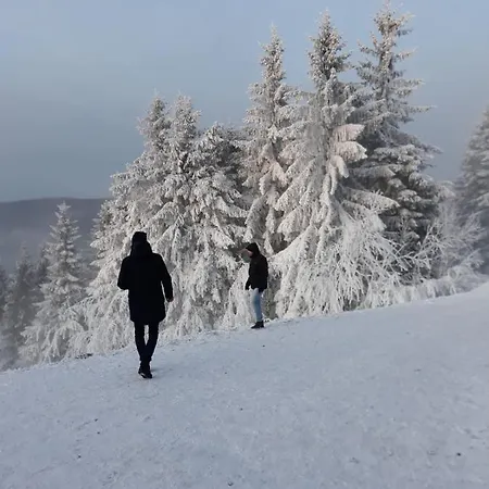 Winterberger Strasse Winterberg